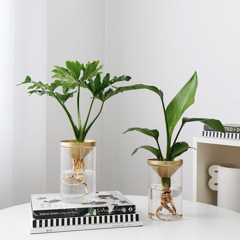 GreenDesk Collection