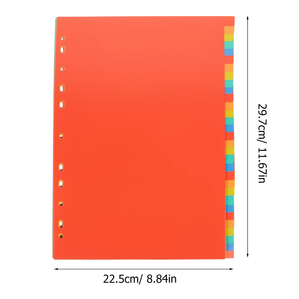HeavyDivide 31-Sheet A4 Binder Dividers with Tabs – Heavy Duty Index Pages