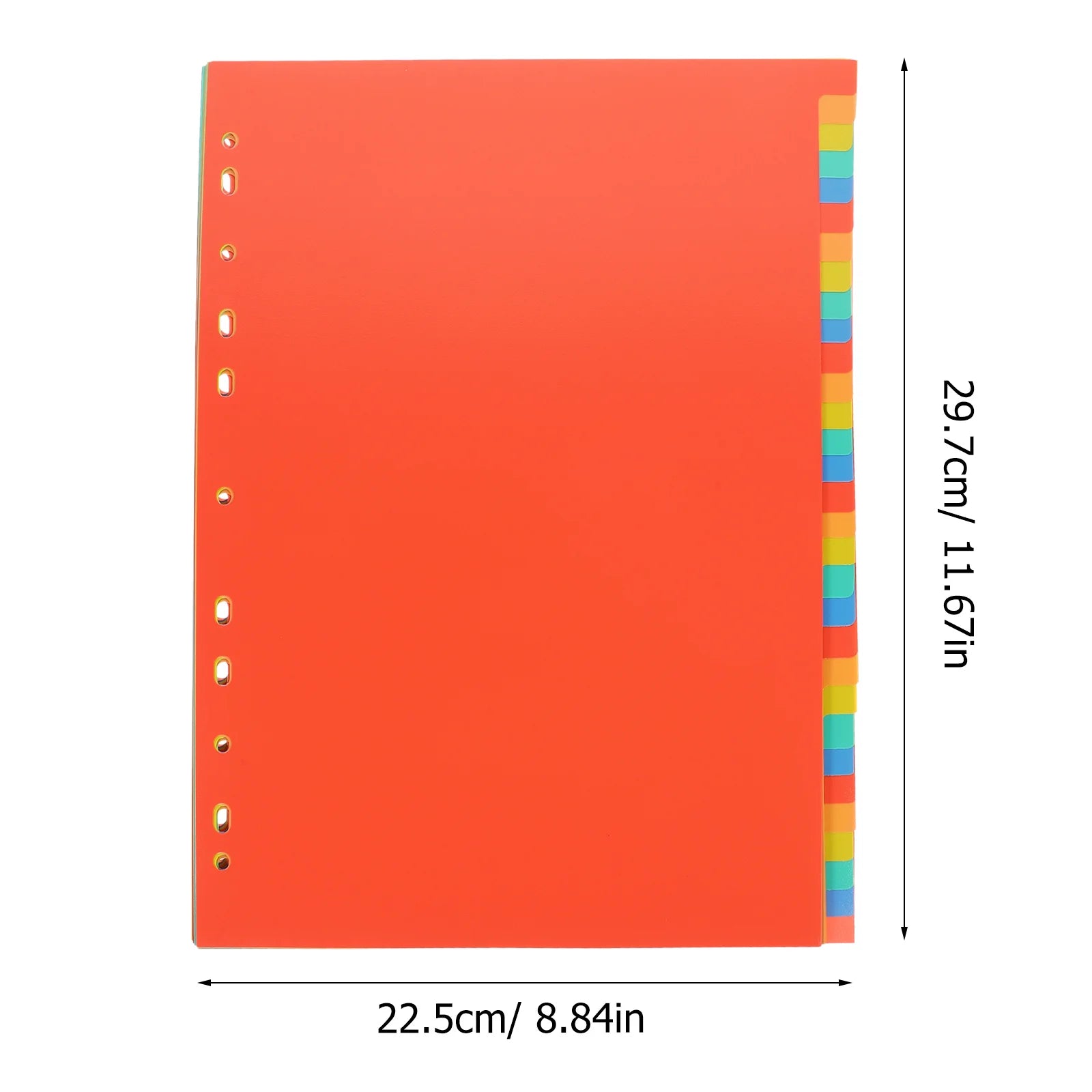 HeavyDivide 31-Sheet A4 Binder Dividers with Tabs – Heavy Duty Index Pages