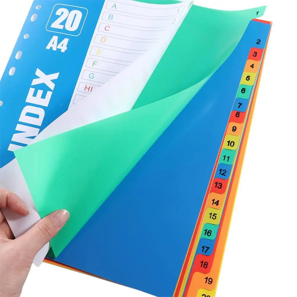 DivideIt PP Index Separator Pages – A4 Coloured Binder Dividers 5 to 31 Pages