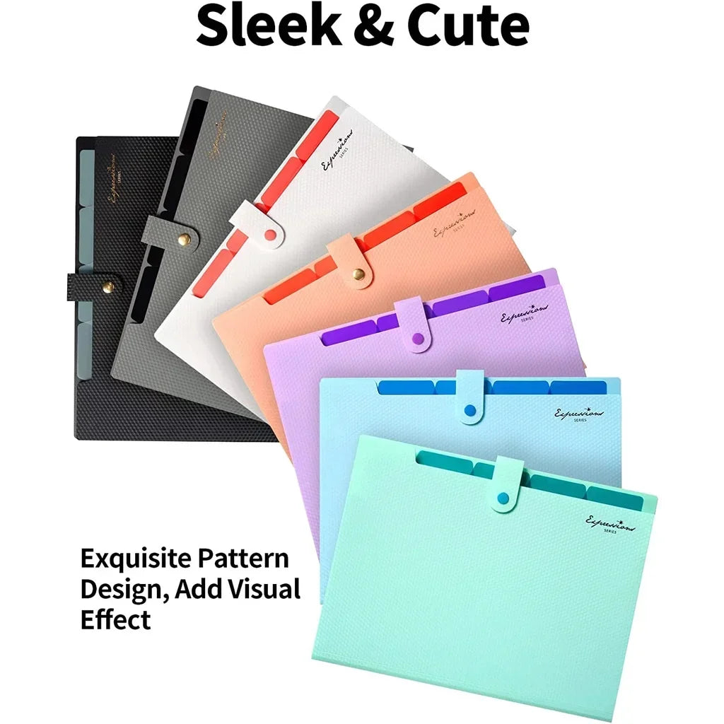 AccordionFile 5-Pocket A4 Expanding File Folder – Portable Document Organiser
