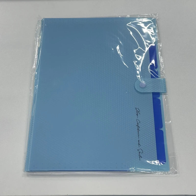 AccordionFile 5-Pocket A4 Expanding File Folder – Portable Document Organiser