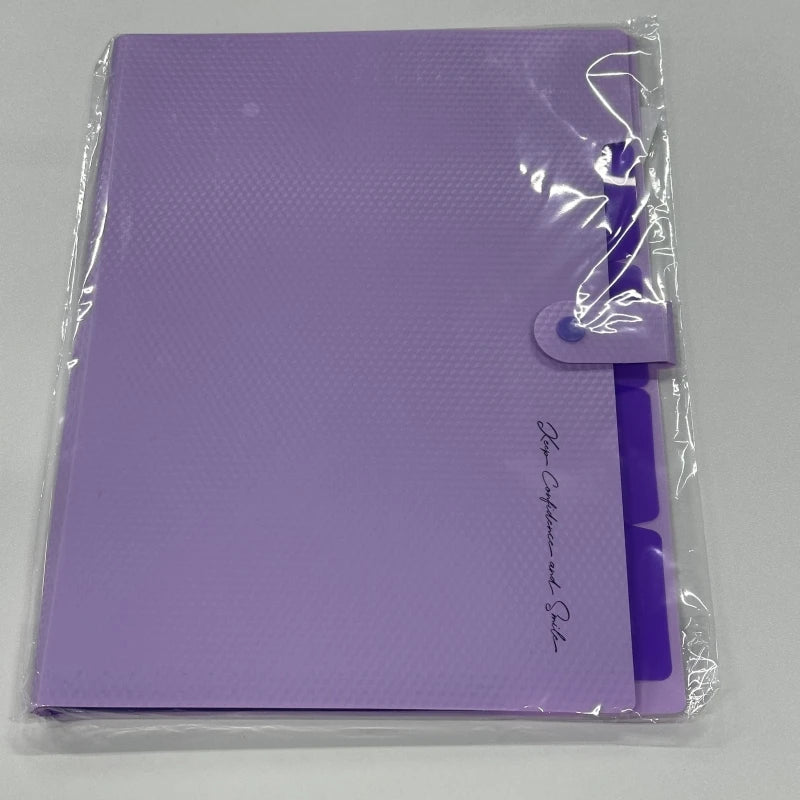 AccordionFile 5-Pocket A4 Expanding File Folder – Portable Document Organiser